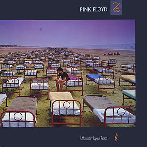 pink floyd - a momentary lapse of reason
