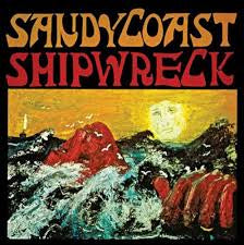 sandy coast - shipwreck