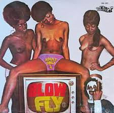 blow fly - on tv
