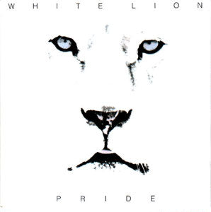 white lion - pride