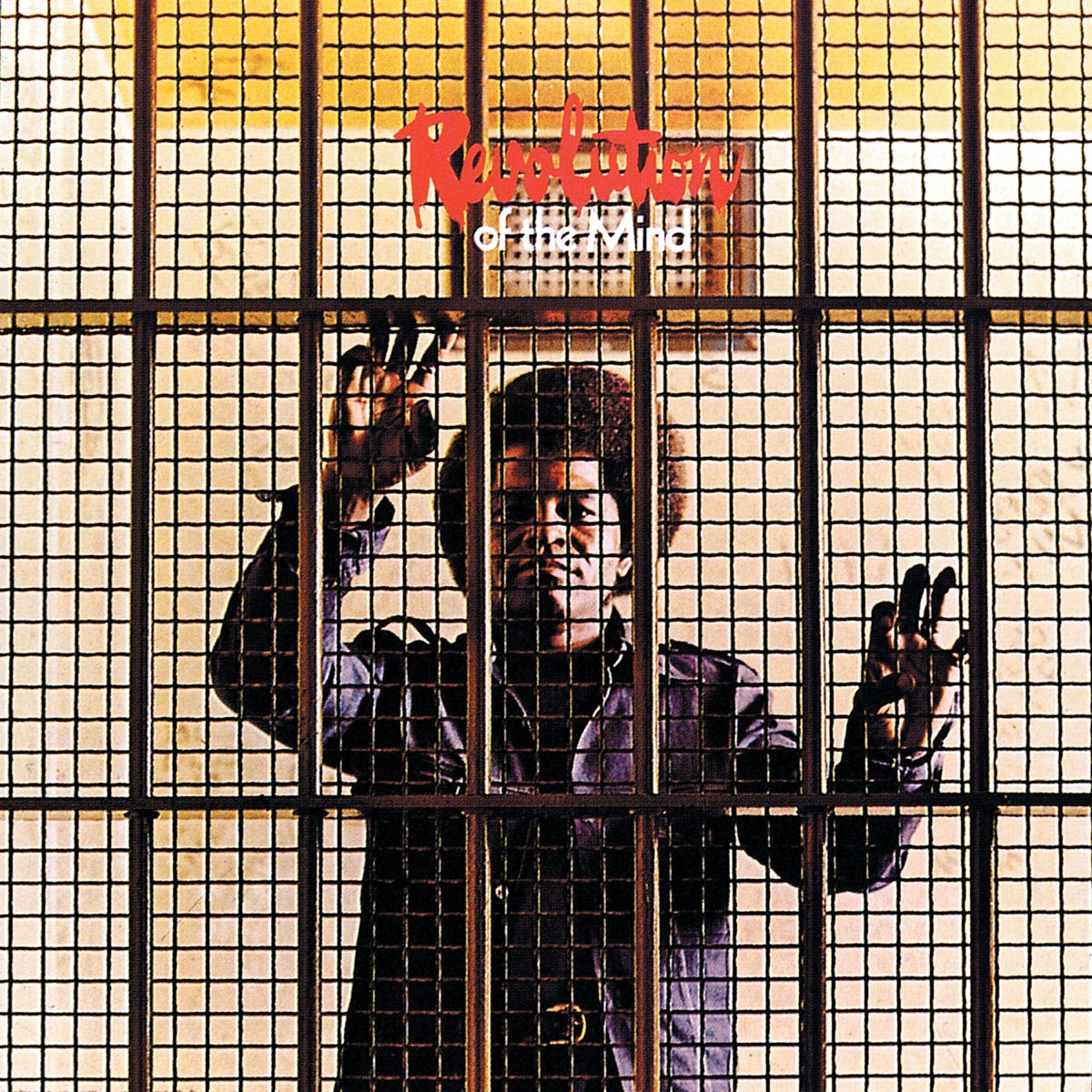 james brown revolution of the mind