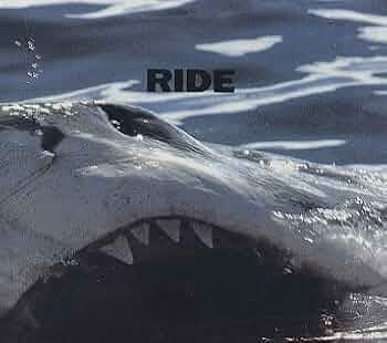 Ride - Today Forever