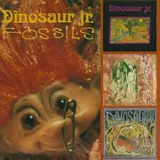 Dinosaur Jr. – Fossils