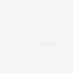 Beatles White Album