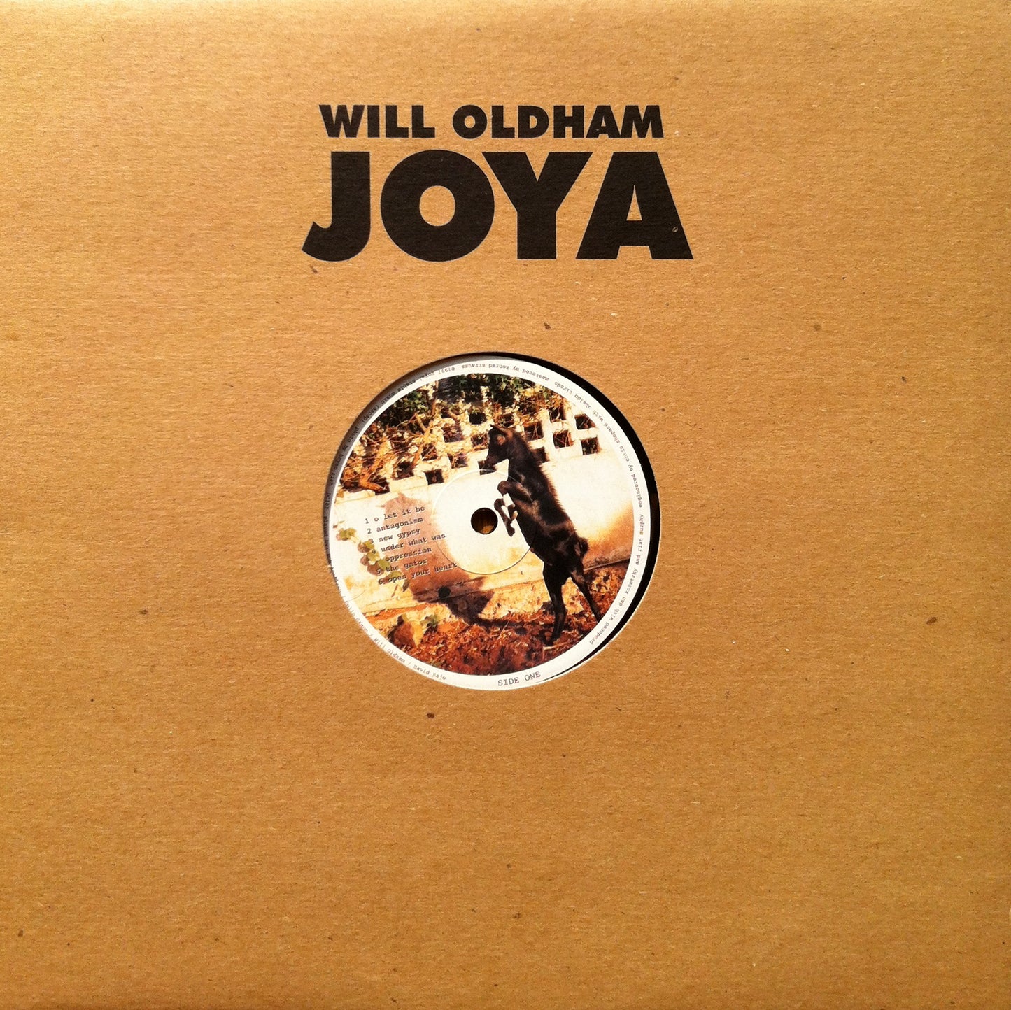 will oldham - joya