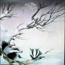 badger - one live badger
