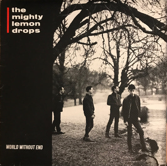 the mighty lemon drops - world without end