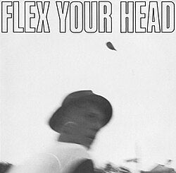 Flex Your Head D.C. sampler