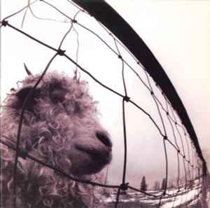 Pearl Jam – Vs.