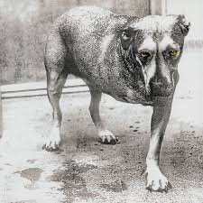 Alice In Chains - Tripod / Alice In Chains